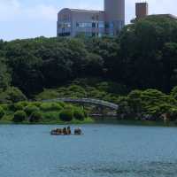 桑名城九華公園：日本城堡的浪漫🏯🌸