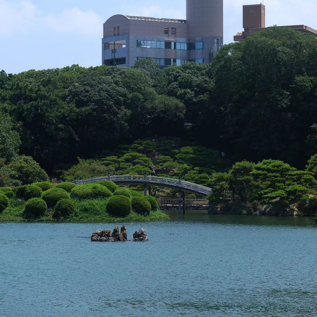 桑名城九華公園：日本城堡的浪漫🏯🌸