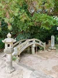 【山口県】日本鶏 黒柏発祥の地