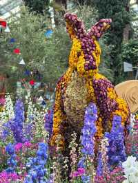 Australian Carnival of Flowers at Flower Dome