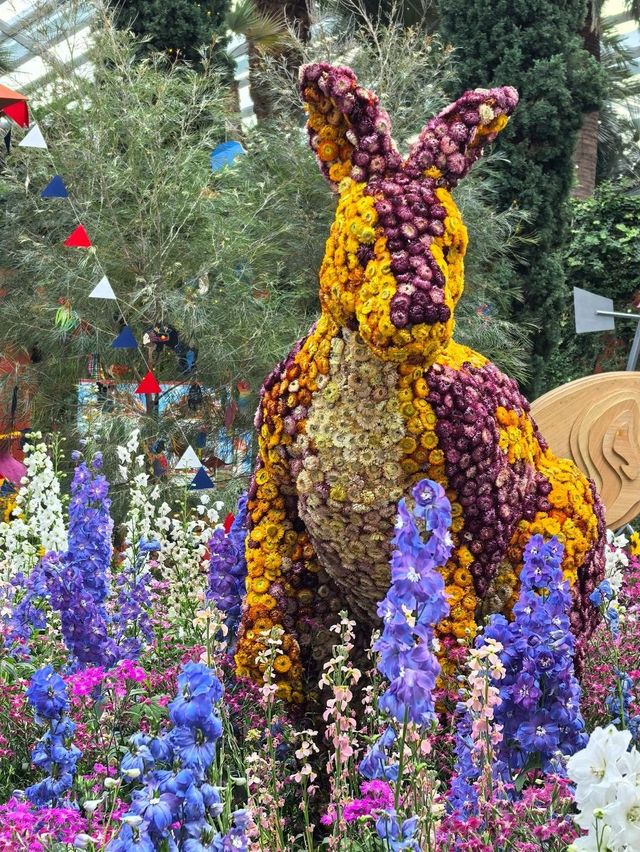 Australian Carnival of Flowers at Flower Dome