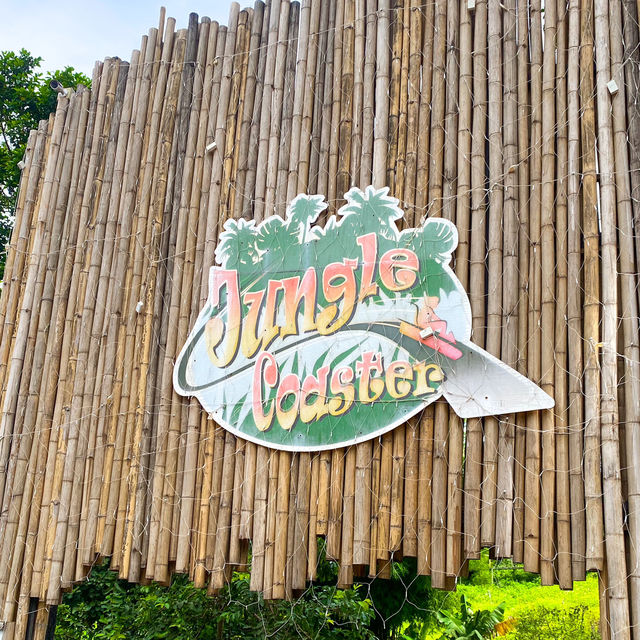 กิจกรรมสุดอลังการ เดอะจังเกิ้ล โป่งแยง (The Jungle