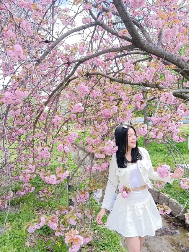 Bampaku Park