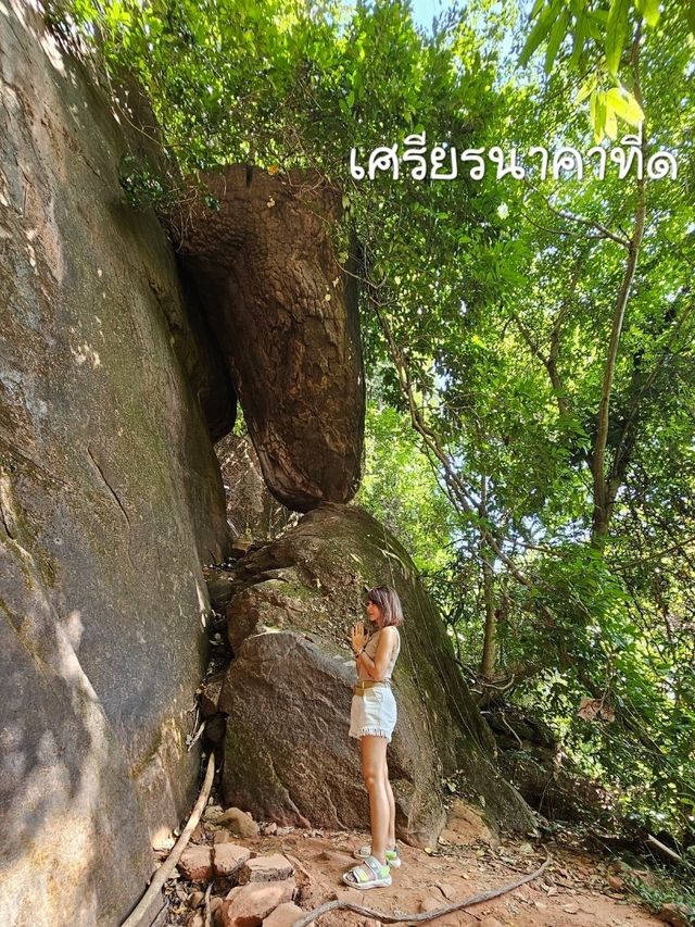 ถ้ำนาคี  เศรียรพญานาคทั้ง 9  นครพนม