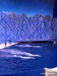 🐋 珠海長隆海洋王國：與海洋共舞的奇幻旅程