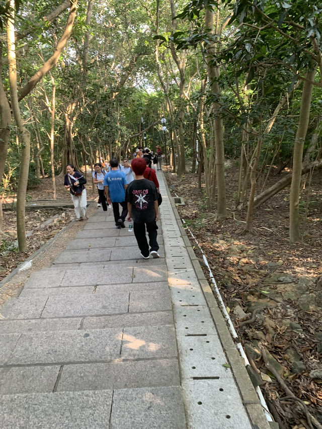 "探索深圳鄧小平塑像，感受改革開放的偉大時刻"