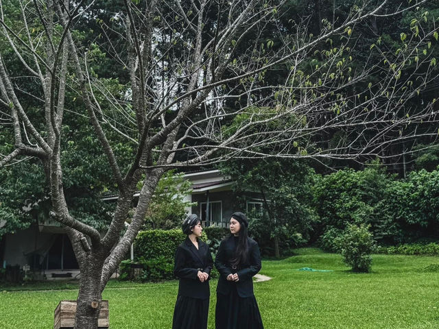 💐 คาเฟ่ดอกไฮเด็นเยียร์บนดอยอินทนนท์