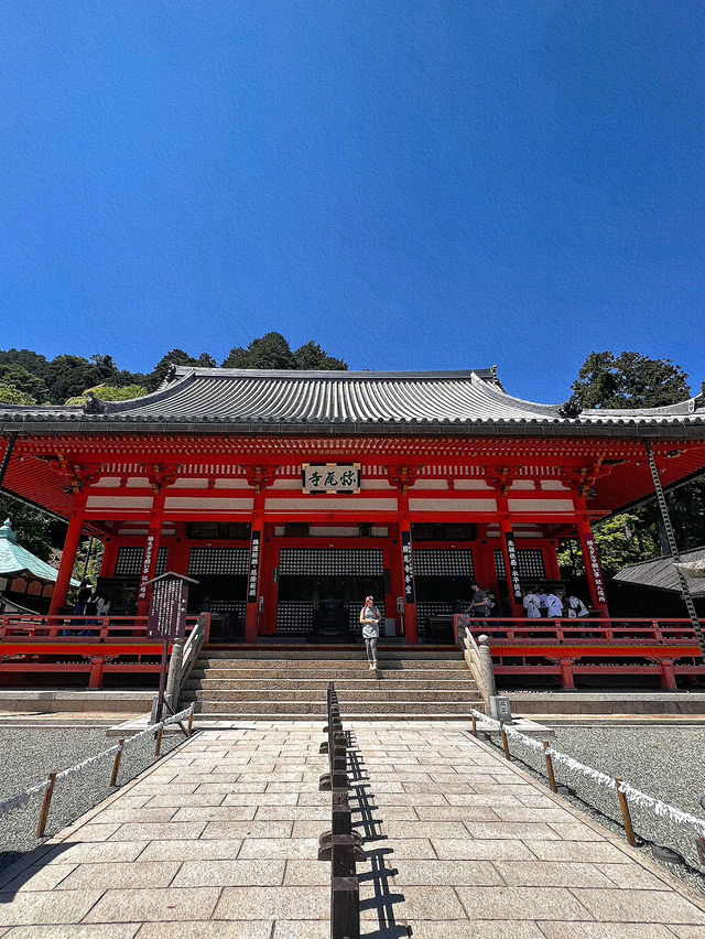 探索大阪勝尾寺：歷史悠久的靜謐聖地🏯🌸