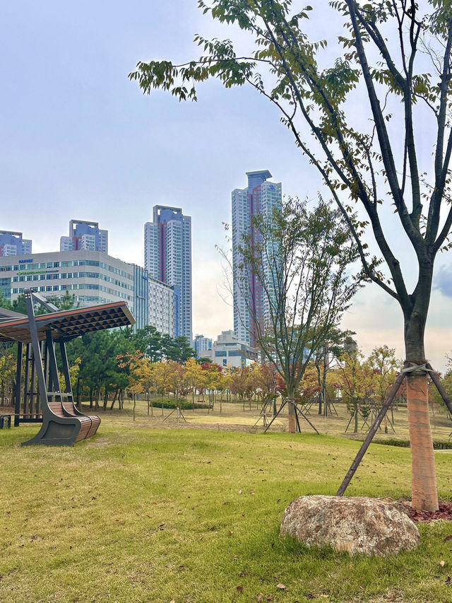 기분전환할 수 있는 자연명소 청라호수공원🤍🌳