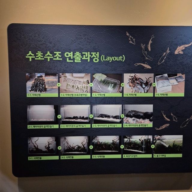 🏞비바리움을 연상케하는 자연 아쿠아리움 화담숲자연생태관🏞