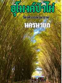 เที่ยวอุโมงค์ป่าไผ่ วัดจุฬาภรณ์วนาราม