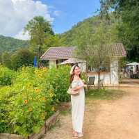 Hokkaido Flower Park Khaoyai