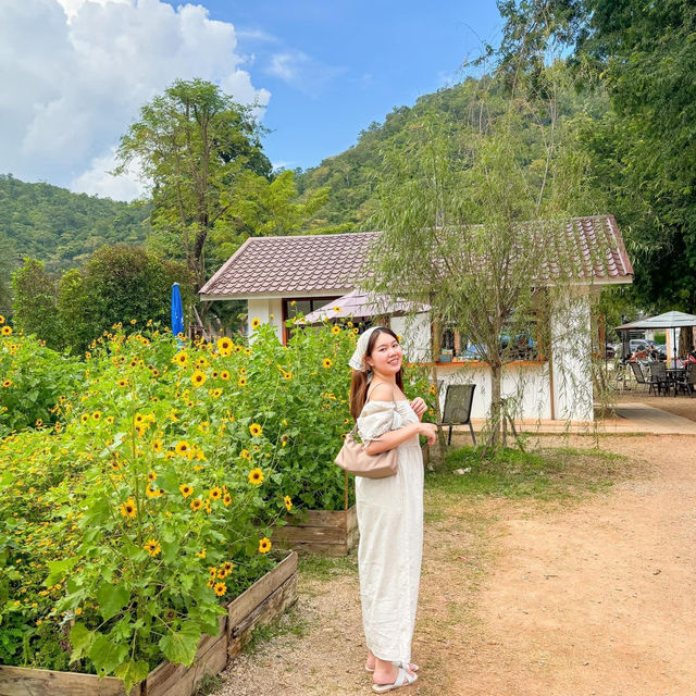Hokkaido Flower Park Khaoyai