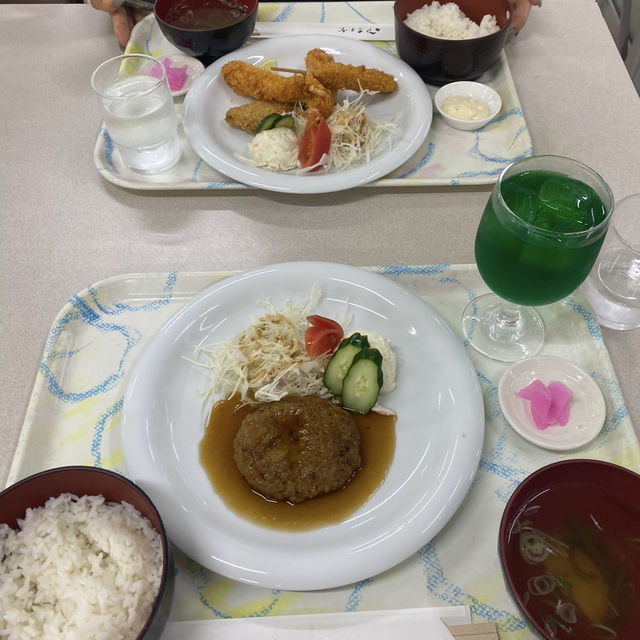 養老ランド🌿