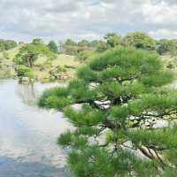 Garden of Wonders: Discovering the Beauty of Suizenji in Kumamoto!