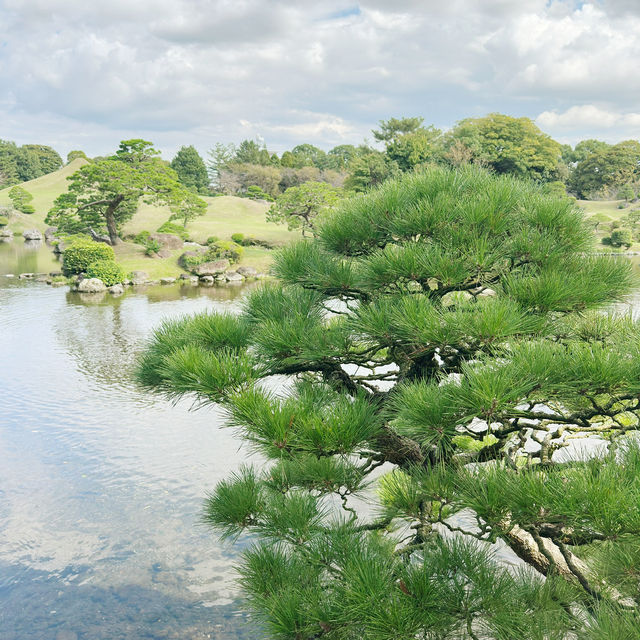 Garden of Wonders: Discovering the Beauty of Suizenji in Kumamoto!