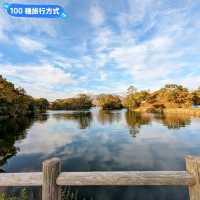 日本北海道賞楓行，道央、道南自駕遊