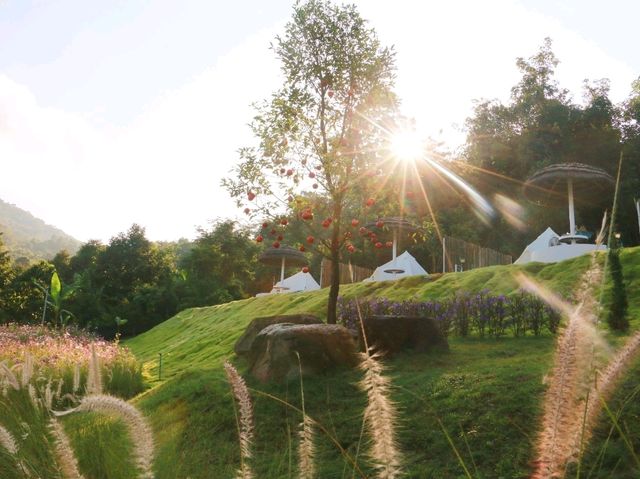 เที่ยวชมทุ่งคอสมอสที่ Margaret Private Villa 