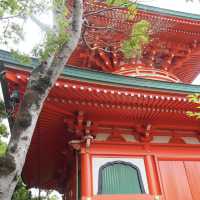 如意輪寺，紅葉呈現出夢幻美景