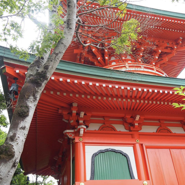 如意輪寺，紅葉呈現出夢幻美景