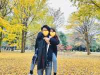 🇯🇵 東京市中心賞銀杏紅葉🍁