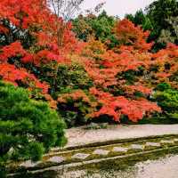 【京都紅葉】京都の秋旅に絶対訪れたい！南禅寺天授庵