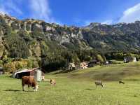 Wengen in Autumn: A Golden Paradise in the Alps