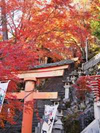 【ここ行って】お守り作り体験も⁉️パワーみなぎる天空の紅葉絶景スポット🍁