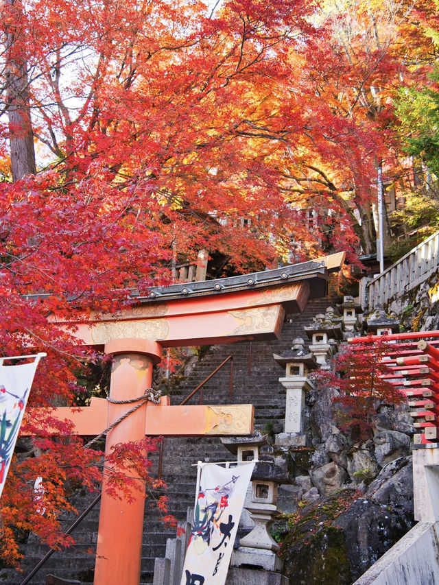 【ここ行って】お守り作り体験も⁉️パワーみなぎる天空の紅葉絶景スポット🍁