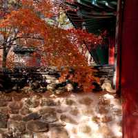 韓國大邱_Haeinsa Temple 해인사 世界文化遺產