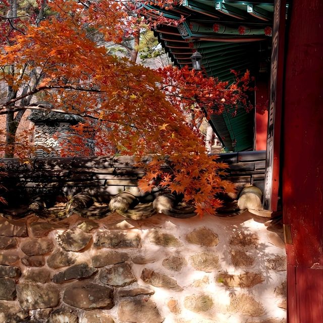 韓國大邱_Haeinsa Temple 해인사 世界文化遺產