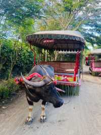 Villa Escudero: A Cultural Escape in the Philippines