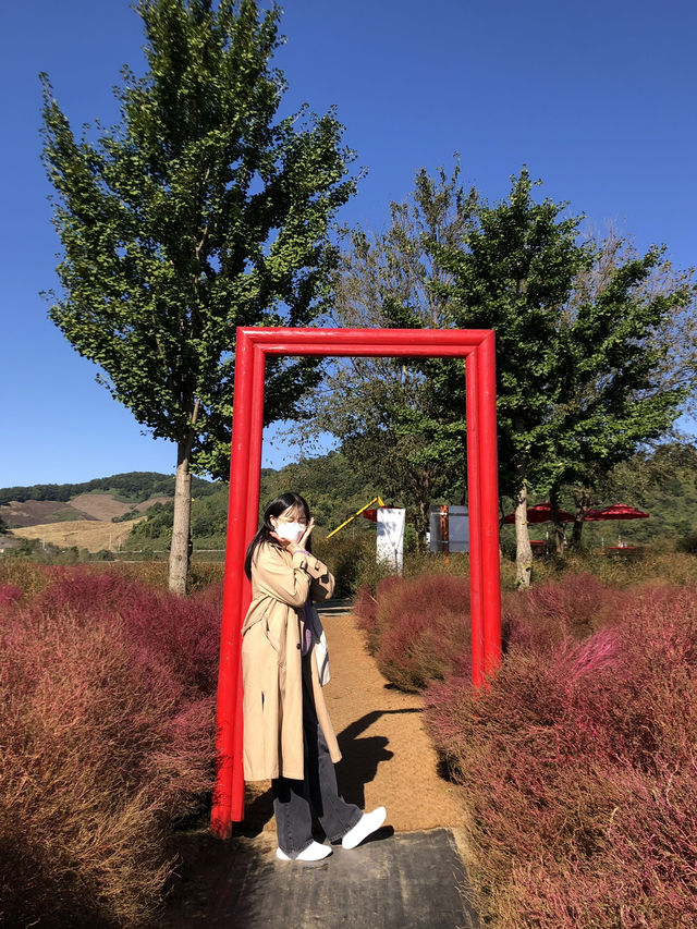 댑싸리 공원하면 바로 여기💫