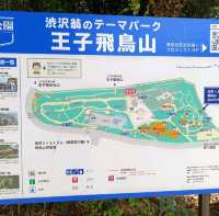 東京十月櫻：飛鳥山公園