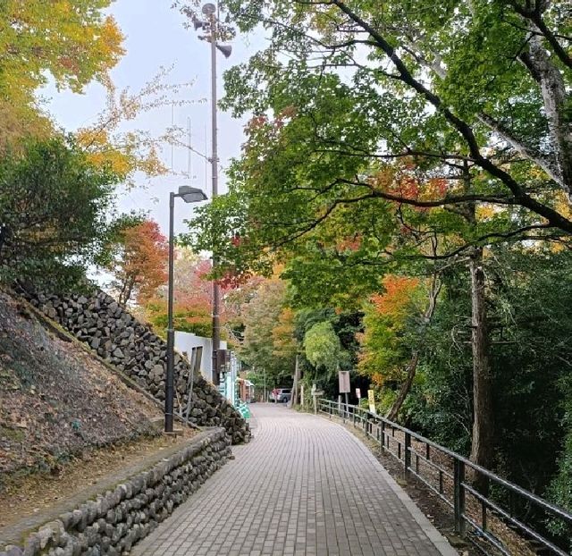 東京賞楓：高尾山上站