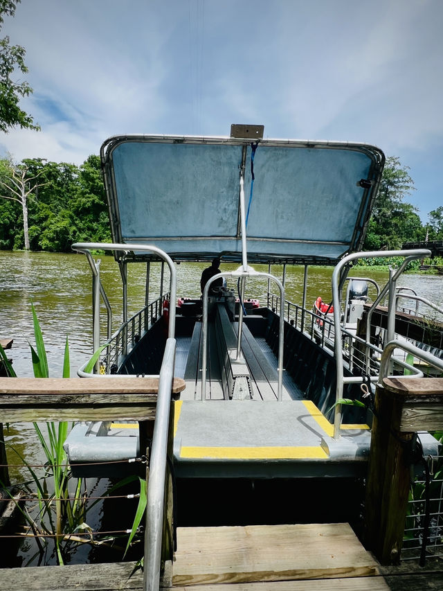 ［紐奧良旅遊］New Orleans Swamp Tour-尋找野生鱷魚🐊