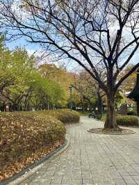 사계절 다 다른 매력을 가지고 있는 대구 대표 공원🌳
