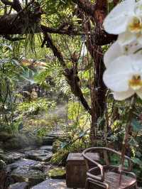 Garden Delights: Discover Baan Suan Sathon’s Thai Paradise