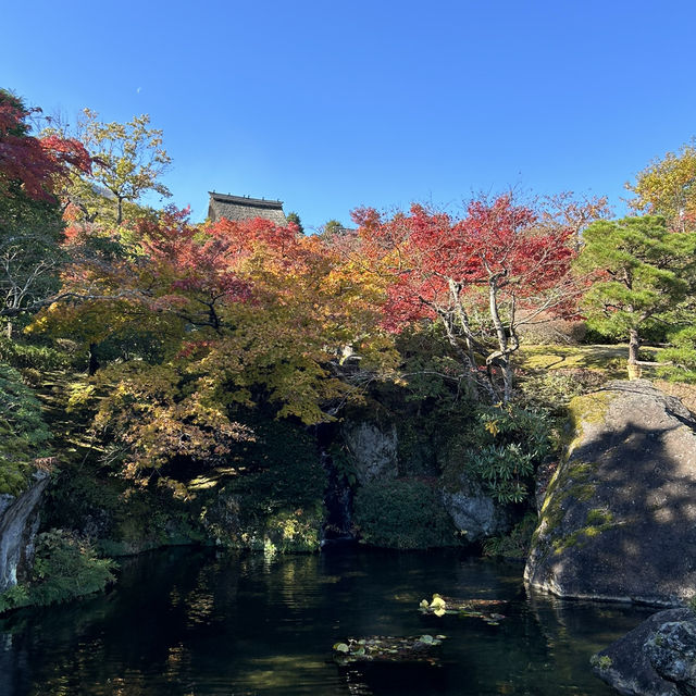 箱根美術館