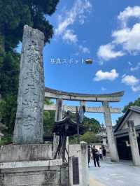 【福岡】太宰府天満宮散策のキロク