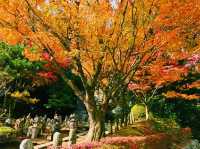福岡🇯🇵雷山千如寺