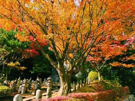 福岡🇯🇵雷山千如寺