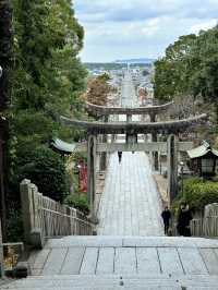 CMで話題となった光の道  3つの日本一がある神社