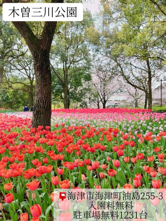 [愛知]お手軽に季節の花を楽しめるスポットBEST5