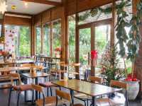 📍 The Glasshouse Cafe 🏡🎄🍽️☕️