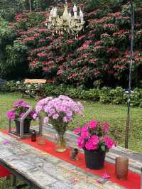 🎄22 Aquarius Glamping Cafe คาเฟ่บนดอยอินทนนท์