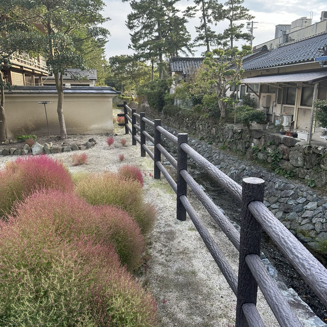 【島根県出雲市】神在月の出雲大社