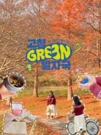 고창에서 즐기는 친환경 여행! 고창 GREEN 발자국 캠페인💚 
