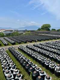 【鹿児島旅行】霧島／圧巻の壺畑！伝統製法で造られる黒酢の歴史情報館