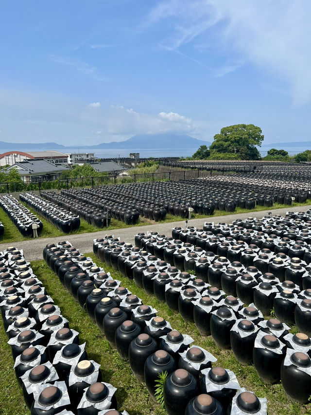 【鹿児島旅行】霧島／圧巻の壺畑！伝統製法で造られる黒酢の歴史情報館